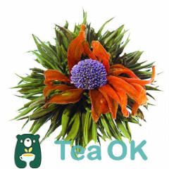 Чай зелений зв’язанний Юн Сі 100г